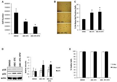 Astrocyte Senescence and Metabolic Changes in Response to HIV Antiretroviral Therapy Drugs